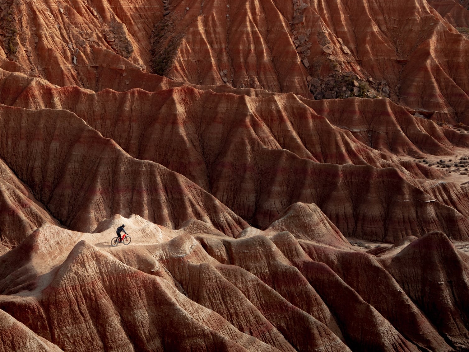 Una llamada a la acción para un futuro sostenible