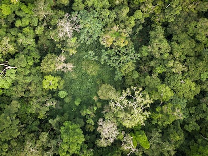 Vista aérea del bosque de Yangambi, en República Democrática del Congo.