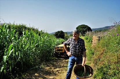 Campos de cultivo en el Maresme.