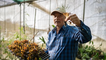 Rodolfo Zamora, apodado El Tigre, propietario de la finca Rinconcito Orgánico Irazú, en Costa Rica, muestra uno de sus productos.