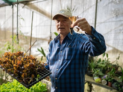 Rodolfo Zamora, apodado El Tigre, propietario de la finca Rinconcito Orgánico Irazú, en Costa Rica, muestra uno de sus productos.