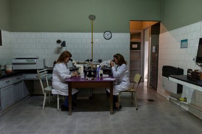 Nora Costa (izquierda), directora del Laboratorio Micobacteriológico Doctor Abel Cetrangolo, y su compañera Liliana Neira realizan pruebas de tuberculosis en las instalaciones del organismo de investigación en Buenos Aires, Argentina, el 29 de marzo de 2019. 