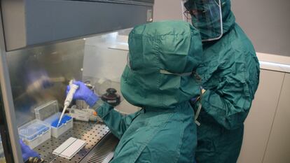 Dos investigadores del centro Príncipe Felipe de Valencia, durante el proceso de pruebas de detección del virus en muestras de saliva.
