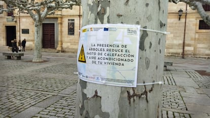 Parques Zamora
