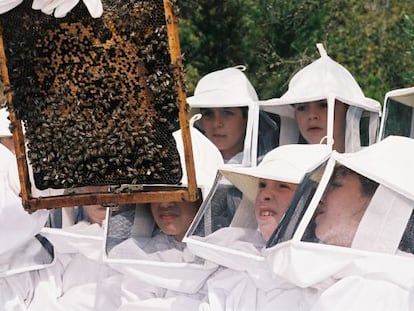 Un grupo de ni&ntilde;os con trajes de apicultor, en Mel Muria, El Perell&oacute; (Tarragona).