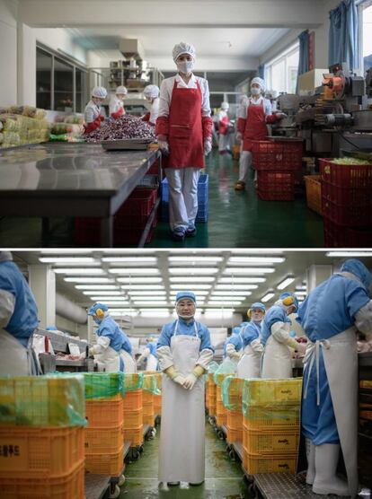 Arriba, la norcoreana Hong Kum Ju es fotografiada en la fábrica alimenticia donde trabaja en Wonsan, el 11 de abril de 2017. Abajo, Kim Si-eun posa en la fábrica en la que trabaja en Jincheon, al sur de Seúl, el 28 de agosto de 2018.