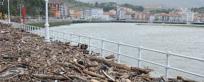 Un paseo marítimo de Ribadesella (Asturias), cubierto de troncos