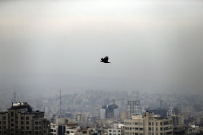 Un ave sobrevuela la ciudad de Teherán (Irán). El gobierno ha declarado este día como festivo, para así cerrar instituciones públicas, colegios, universidades, y cancelar las actividades deportivas al aire libre debido al índice de contaminación del aire.