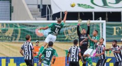 Na 36ª rodada, o Palmeiras venceu o Botafogo por 1 a 0.