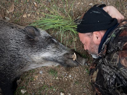 Batida de jabalíes en Collserola, donde una treintena de cazadores abatieron a tres ejemplares.