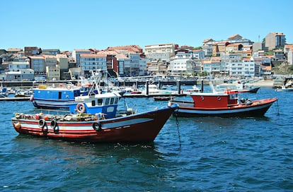 Barcos de pesca en el puerto de Fisterra, A Coruña.