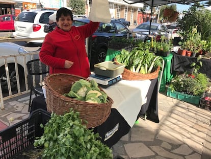 María Eugenia Arancibia vende sus verduras en el mercado de Llay Llay, en el centro de Chile, en junio de 2023