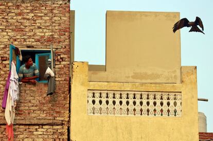 Un hombre observa un milano negro desde su ventana, en Delhi (India).