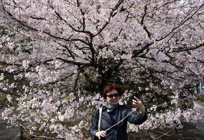 Además de ser un fenómeno cultural, el 'sakura' es un filón para comercios y cadenas, que aprovechan esta época para comercializar productos exclusivos diseñados para la ocasión. En la imagen, una mujer se hace un selfie junto a un cerezo en Tokio.