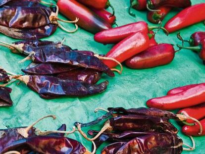 México lindo y sabroso