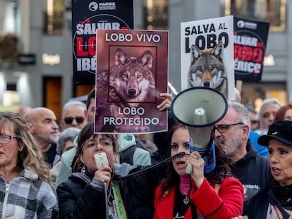 Concentración contra la caza del lobo en la plaza de Callao (Madrid), el 5 de abril 2025.