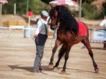b sin num (2/Ago/00) -recibida por modem- Feria de Agosto de doma de caballos en Valls (Tarragona). -Jose Lluis Sellart