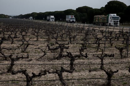 El río Duero fluye casi en paralelo a la nacional y a la autovía que se plantea realizar en ese recorrido. Las poderosas bodegas de Ribera de Duero, en la zona de Valladolid, han presionado para que la autovía no afecte a sus viñedos, que se encuentran muy cerca del asfalto a lo largo de muchos kilómetros.