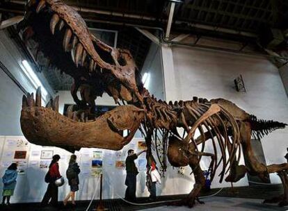 Réplica de un esqueleto de Tyrannosaurus Rex en la Expominer de 2003.