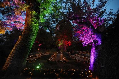 360.000 luces LED iluminarán por primera vez este año el Real Jardín Botánico (Plaza de Murillo, 2) en Navidades. El CSIC (del que depende el parque) y la productora madrileña Lets Go estrenan esta propuesta que, hasta el 6 de enero, vestirá de gala a este centro de investigación científica. En la imagen, la entrada al parque.