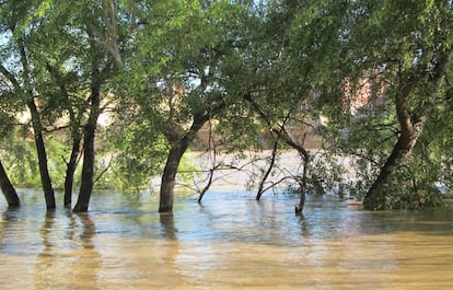 Crecida extraordinaria del río Ebro en abril de 2018.