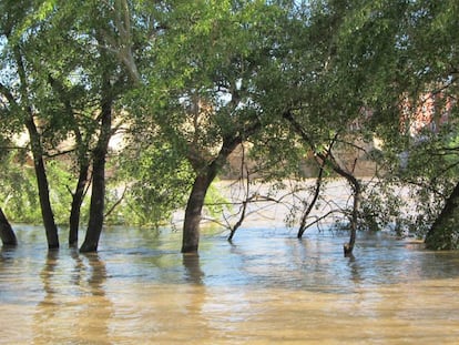 Crecida extraordinaria del río Ebro en abril de 2018.
