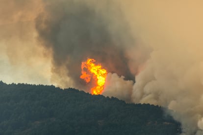 Columna de fuego cerca de Hervás (Cáceres), este domingo.