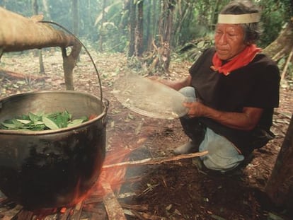 A shaman boils leaves to prepare ayahuasca.