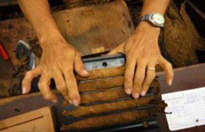 Fotografía de archivo del 27 de marzo de 2009 de una persona en el proceso de elaboración de puros en la región de las Segovia de Nicaragua.