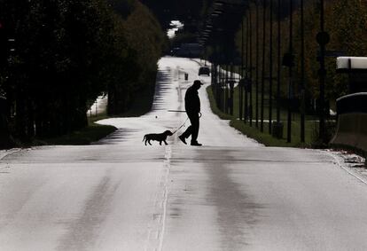 Una persona pasea junto a su perro, a las afueras de Frankfurt (Alemania).