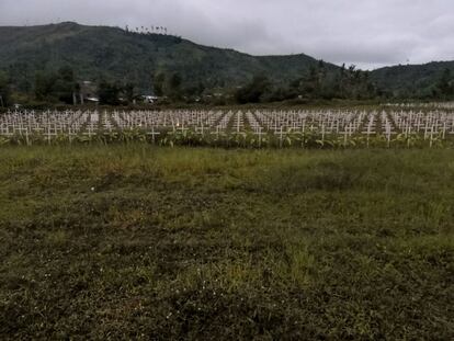 Cerca de 3.000 cruces blancas clavadas en un descampado de Tacloban (Filipinas) recuerdan a los fallecidos que han sido identificados en la localidad, donde murieron 2.670 personas de las 6.200 víctimas que dejó el paso del tifón Haiyán en todo el país. Rubén, Catalina, Fedelina, Antonio, Hilaria… Son algunos de los nombres escritos sobre las maderas de las cruces. Después de tres siglos de colonización española, la herencia permanece viva en la onomástica.