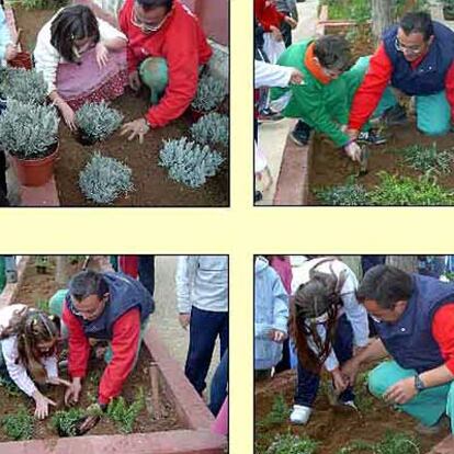 &#39;Educación en verde&#39;, de Dos Hermanas.