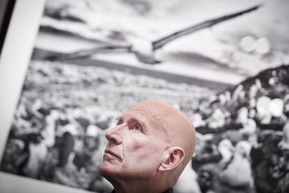 Sebasti&atilde;o Salgado delante de una de sus fotograf&iacute;as del proyecto G&eacute;nesis.