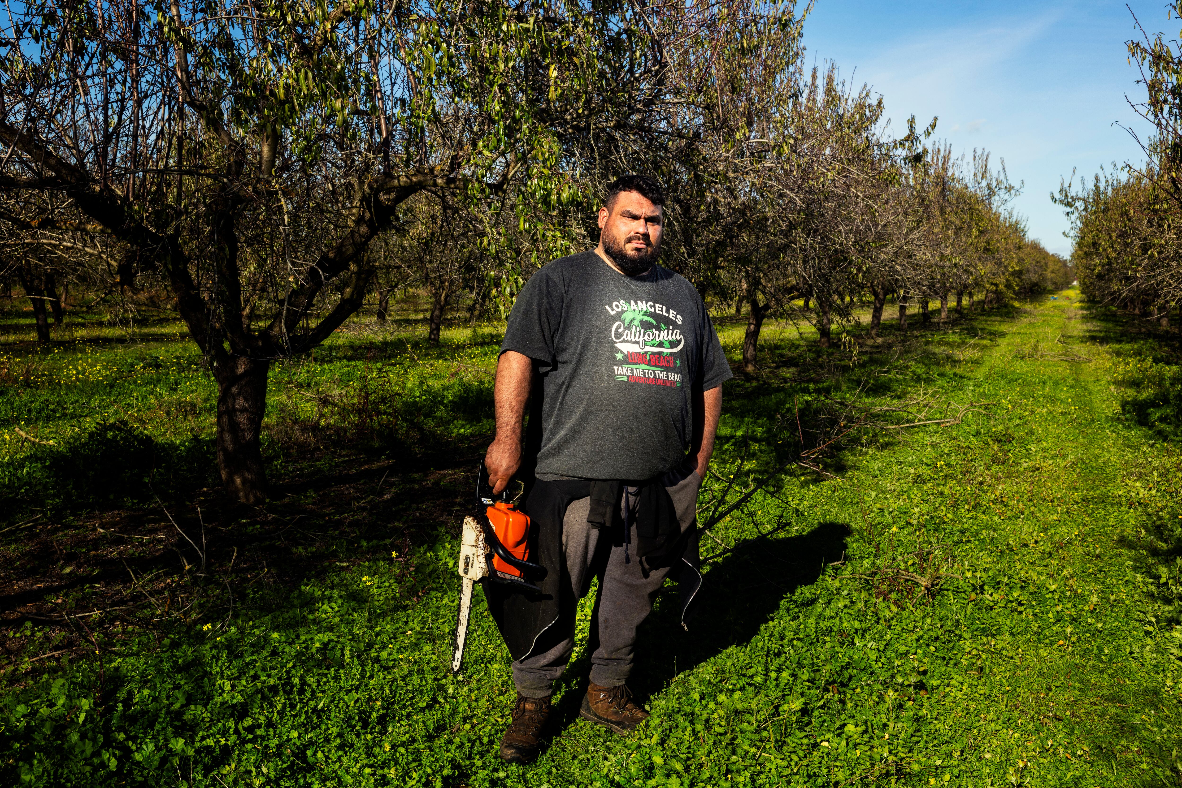 Manuel Gómez, agricultor que votará a VOX, fotografiado en su campo de almendros cerca de Mérida, Badajoz. 