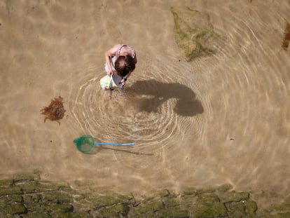 Una niña pesca cangrejos en la playa de La Concha de San Sebastián.