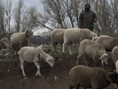 El impacto de la covid-19 en las áreas rurales de Murcia, en imágenes