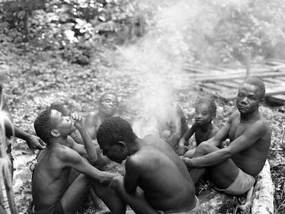 Tambores lejanos en la selva del Ituri