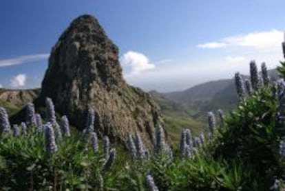 Roque de Agando,una formaci&oacute;n rocosa de origen volc&aacute;nico, es el pico m&aacute;s alto de Garajonay, con m&aacute;s de 1.200 metros de altura se&ntilde;alando al cielo.