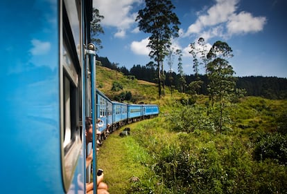 Un tren atraviesa las plantaciones de té de Kandy.