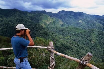 En la sierra Apaneca llamatepec, el bosque de El Imposible –ecosistema amenazado–, en El Salvador, acoge gran variedad de animales y plantas, como pumas, tigrillos, jabalíes, halcones ferruginosos y águilas de cresta negra.