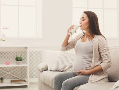 La leche durante el embarazo, una aliada para cubrir las actuales deficiencias nutricionales