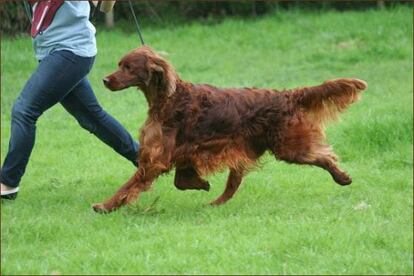 Jagger, en otra imagen sin datar.