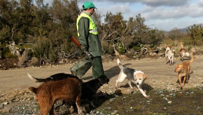 Un cazador en un torneo en Rodeiro (Pontevedra). 