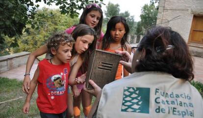 Un grupo de niños durante una de las actividades de la Fundació Catalana de l'Esplai este verano.