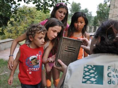 Un grupo de niños durante una de las actividades de la Fundació Catalana de l'Esplai este verano.