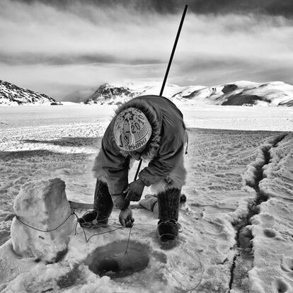 Un pescador inuit de Groenlandia, a la caza y captura de sus presas a través de un agujero perforado en el hielo, en 2011. Inuit es un nombre común para los distintos pueblos esquimales que habitan las regiones árticas de América. Han soportado la vida del Ártico durante miles de años y tienen una gran experiencia para sobrevivir en el hielo. Se calcula que son unas 150.000 personas que llevan una vida nómada, siguiendo las migraciones de los animales que cazan, como caribúes, osos, ballenas y focas. De ellos aprovechan todas las partes posibles para alimentarse, abrigarse, construir viviendas y herramientas para cazar. En los últimos tiempos, el proceso de globalización está produciendo un cambio en sus formas de vida originarias.