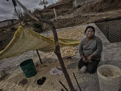 Lucina Urbano trabaja el ma&iacute;z seco en el tejado de su casa, en Santos Reyes Yucun&aacute;.