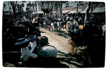 Paseo de caballos en el Real de la Feria. A partir de las 20.30 horas, jinetes y carruajes deben abandonar el recinto.