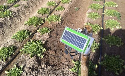 Sensor de Bynse en una plantación.