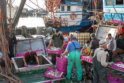 Varios pescadores transportan sus capturas después de atracar en el puerto principal de la ciudad de Dajla, Sáhara Occidental, el 21 de diciembre de 2020.